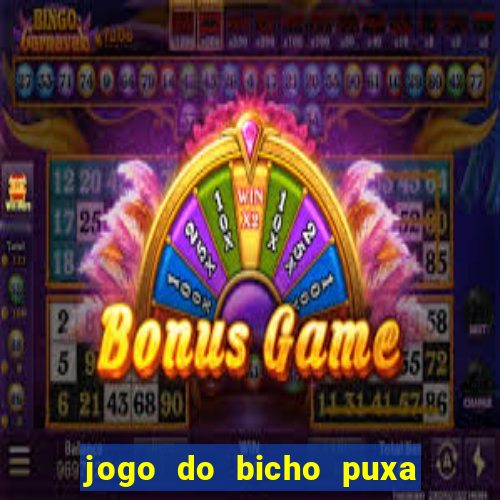 jogo do bicho puxa de dona maria